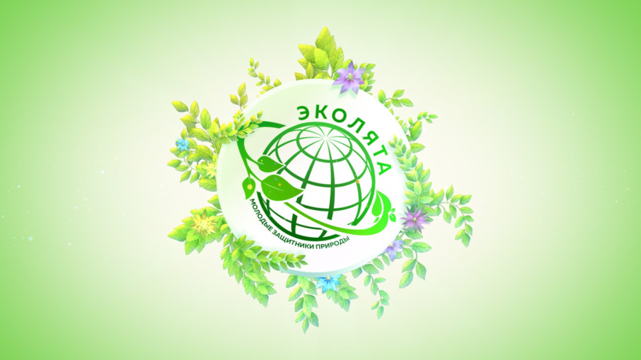 Всероссийский день Эколят Всероссийский день Эколят.